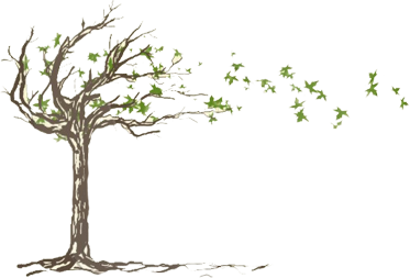Les Brise Brothers